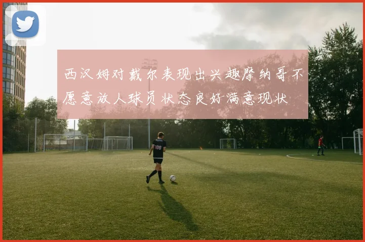 西汉姆对戴尔表现出兴趣摩纳哥不愿意放人球员状态良好满意现状