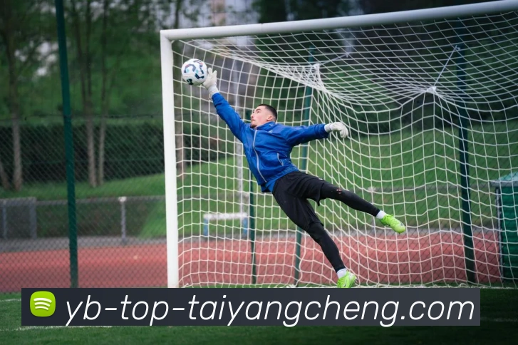 App Interface Preview